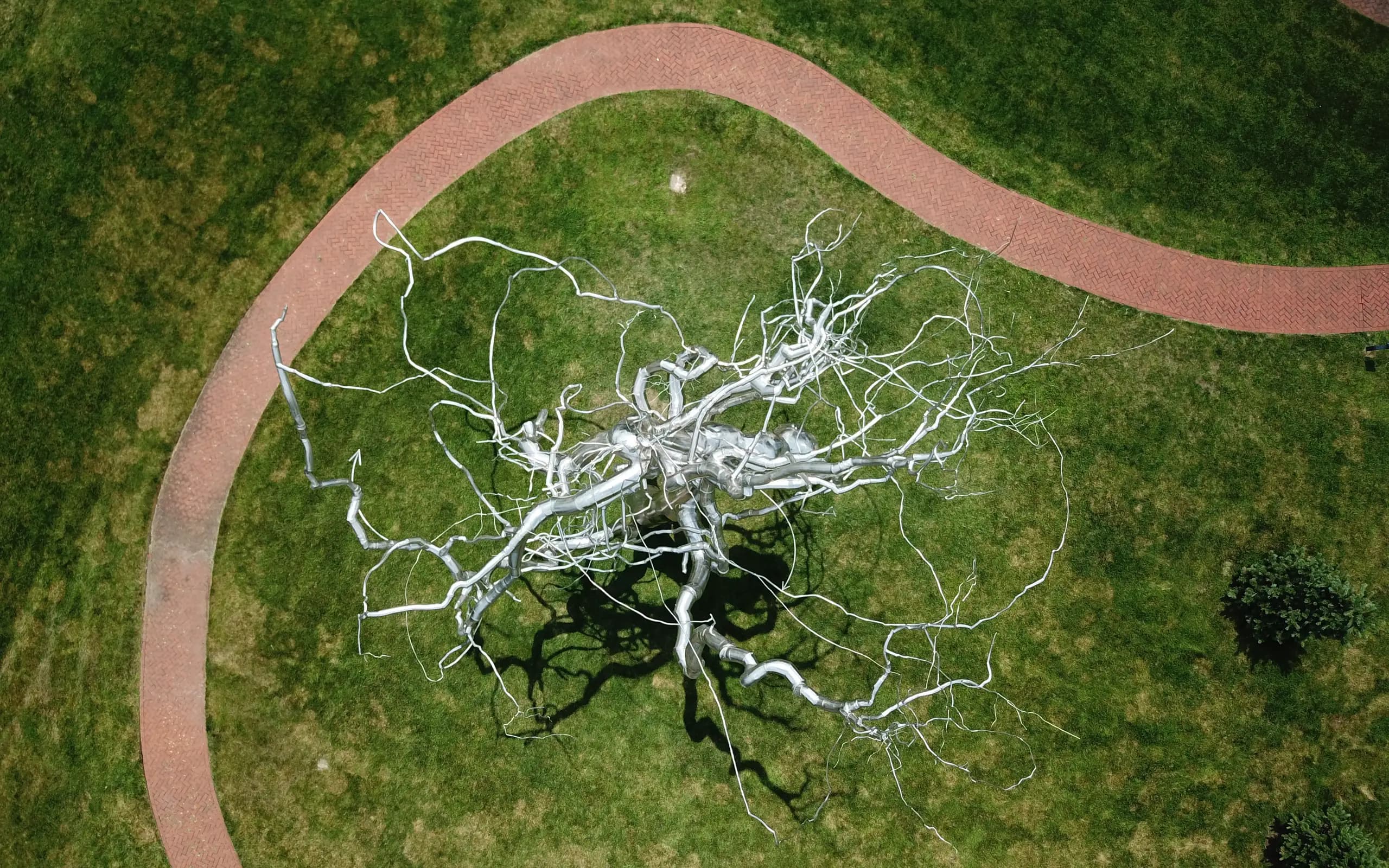 A stainless steel tree sculpture seen from directly above, its branches spread across a lawn